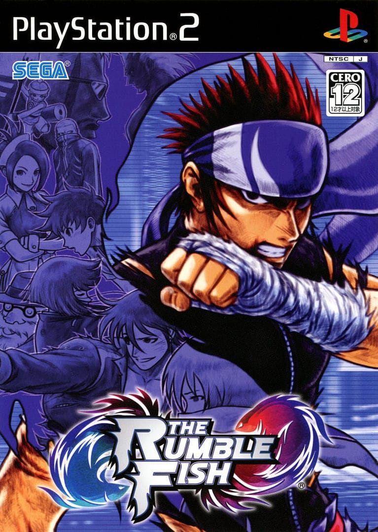 The Top 30 Best PS2 Fighting Games 15 TheRumbleFish